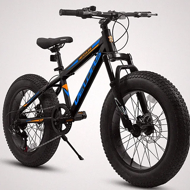 20 Inch Fat Tire,7 Speed Mountain Bike Dual Disc,Brakes High Carbon Steel Frame