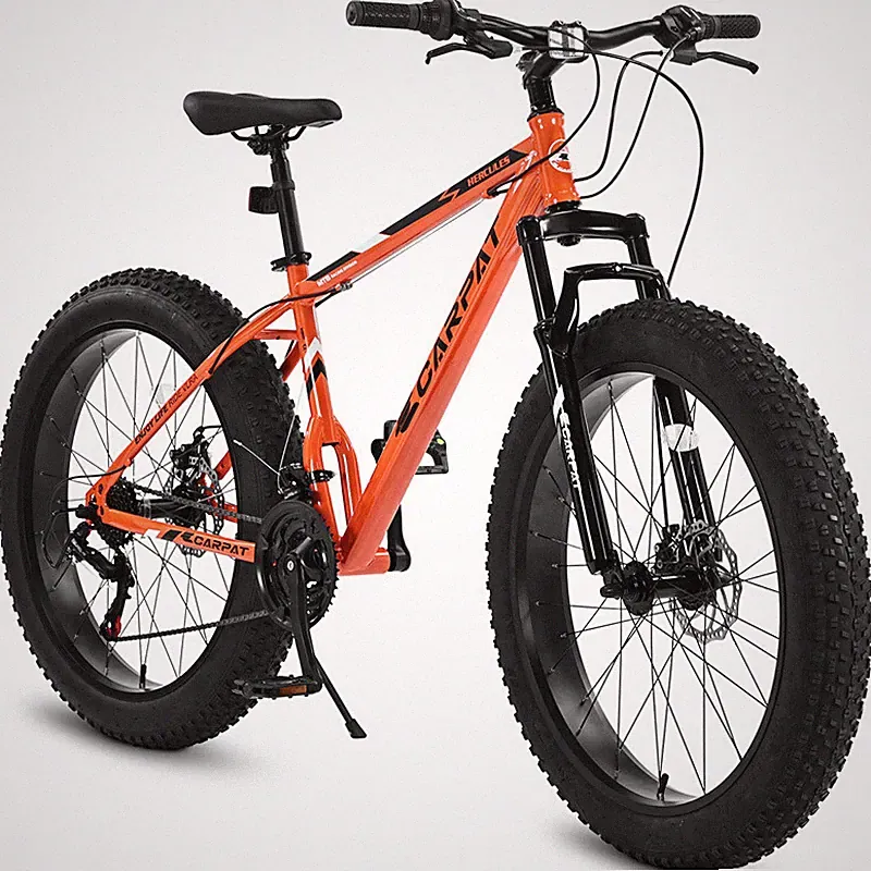 Up to 2020 Fat Tire